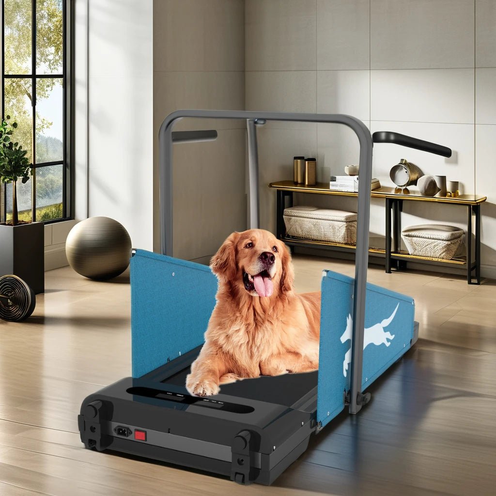 Directly Sale Indoor Use Running Machine Pets Running Sport Equipment Wholesale Dog Treadmill - Fourdemall