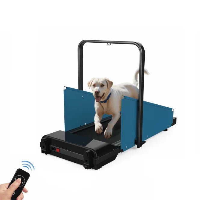 Directly Sale Indoor Use Running Machine Pets Running Sport Equipment Wholesale Dog Treadmill - Fourdemall