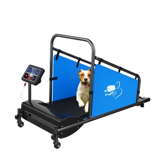 Directly Sale Indoor Use Running Machine Pets Running Sport Equipment Wholesale Dog Treadmill - Fourdemall